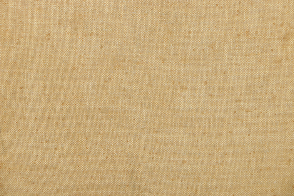 Emily B. Waite Oil Painting on Unstretched Canvas Portrait of a Baby