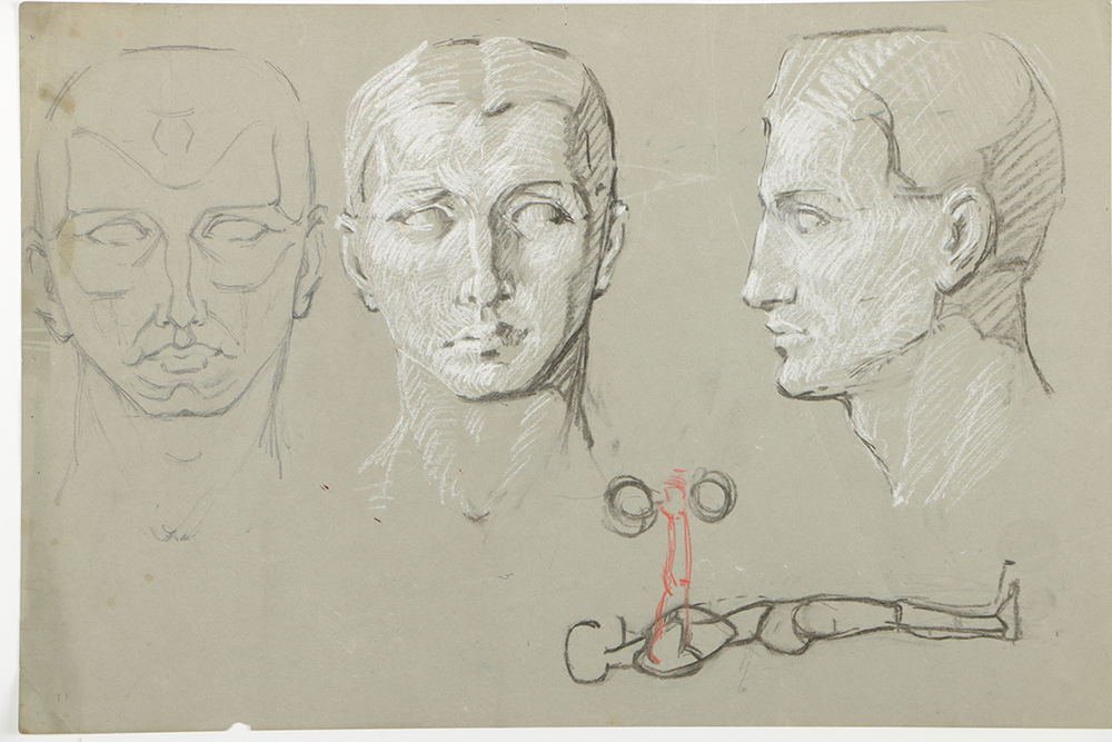 Emily B. Waite Double Sided Colored Charcoal Drawing Anatomical Study