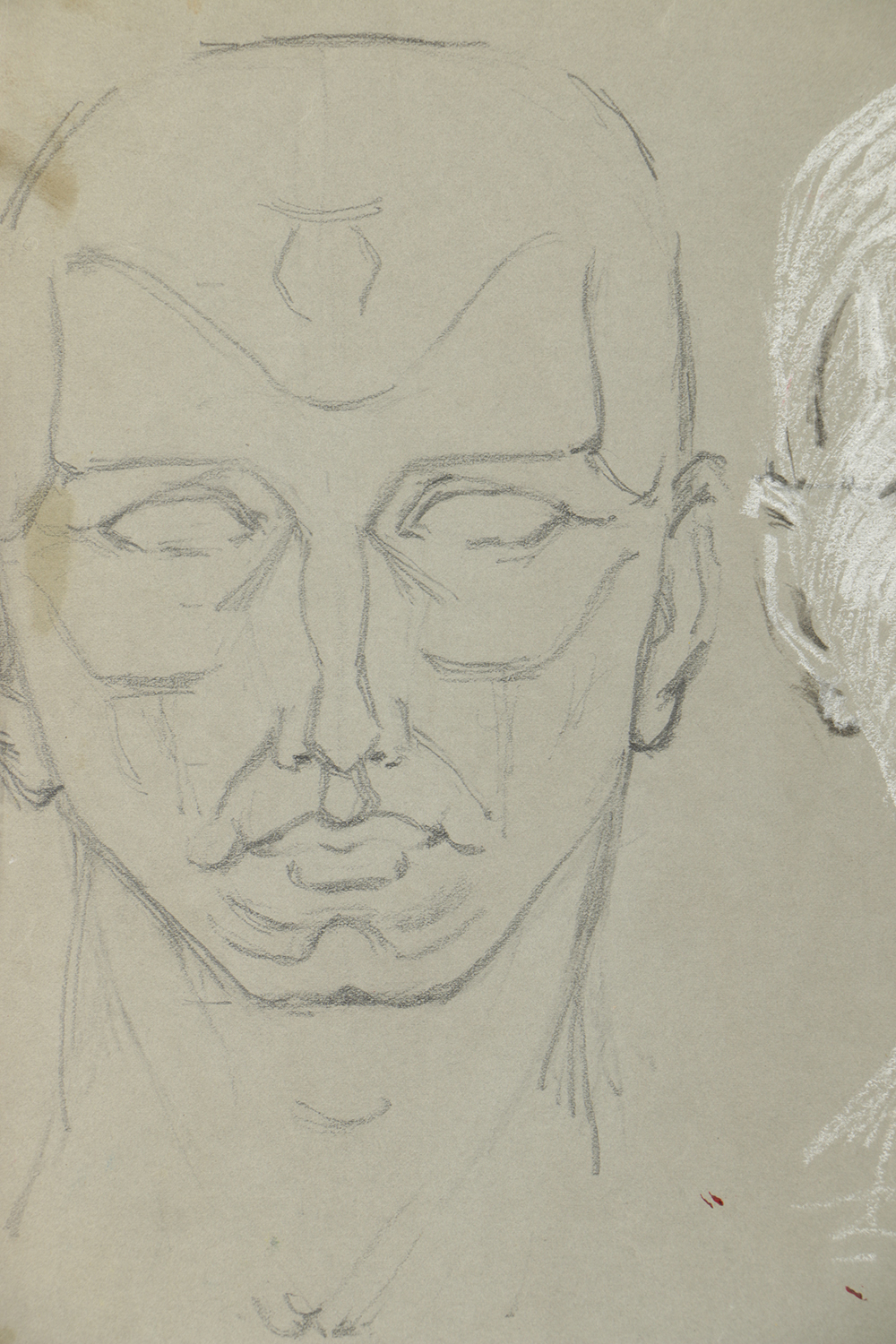 Emily B. Waite Double Sided Colored Charcoal Drawing Anatomical Study