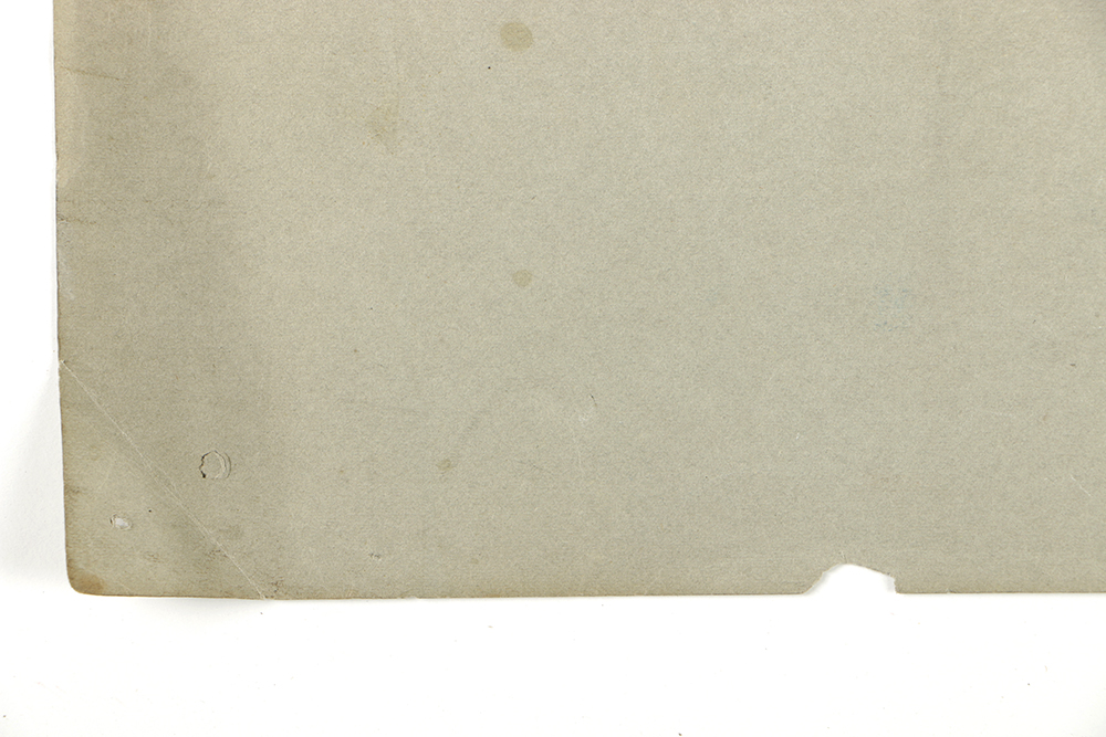 Emily B. Waite Double Sided Colored Charcoal Drawing Anatomical Study