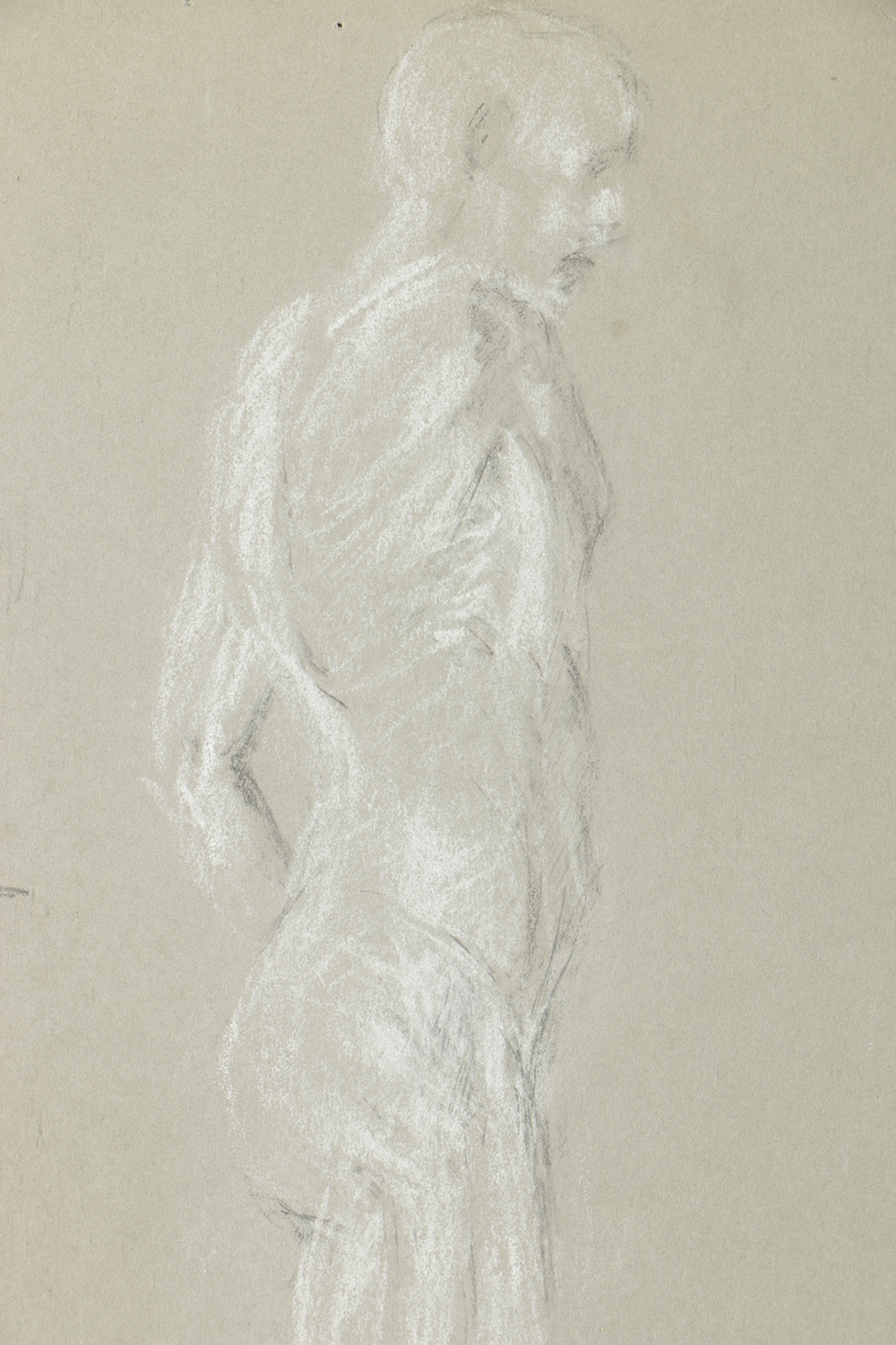 Emily B. Waite Double Sided Colored Charcoal Drawing Anatomical Study