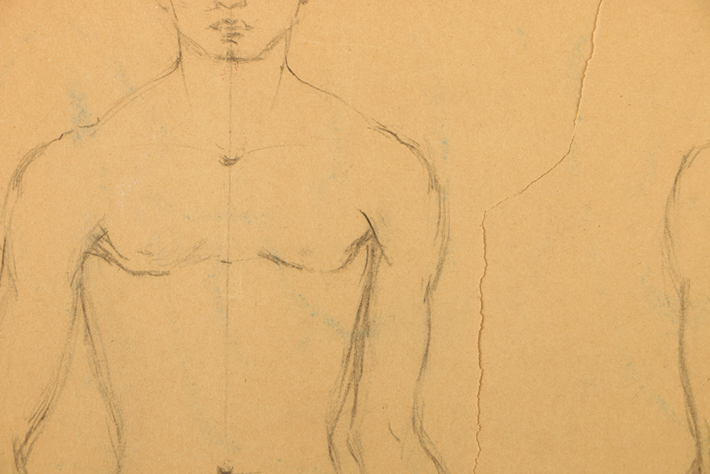 Emily B. Waite Graphite Drawing of an Anatomical Study