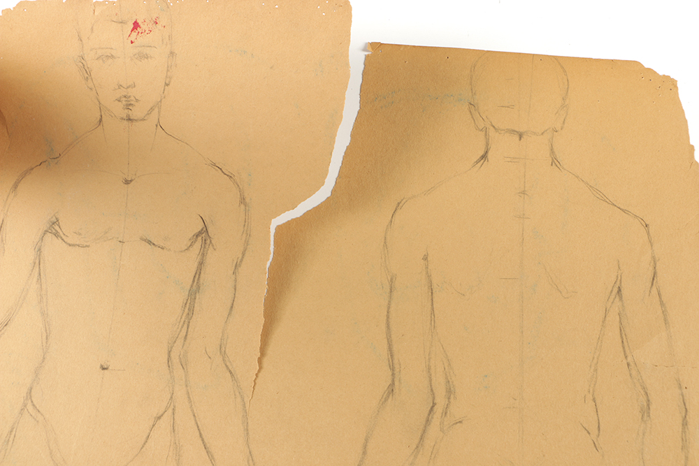 Emily B. Waite Graphite Drawing of an Anatomical Study