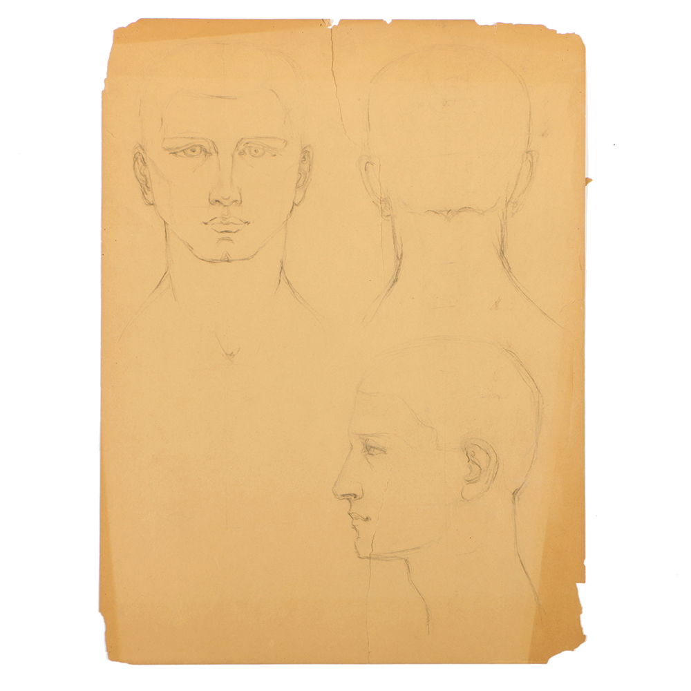 Emily B. Waite Graphite Drawing of an Anatomical Study