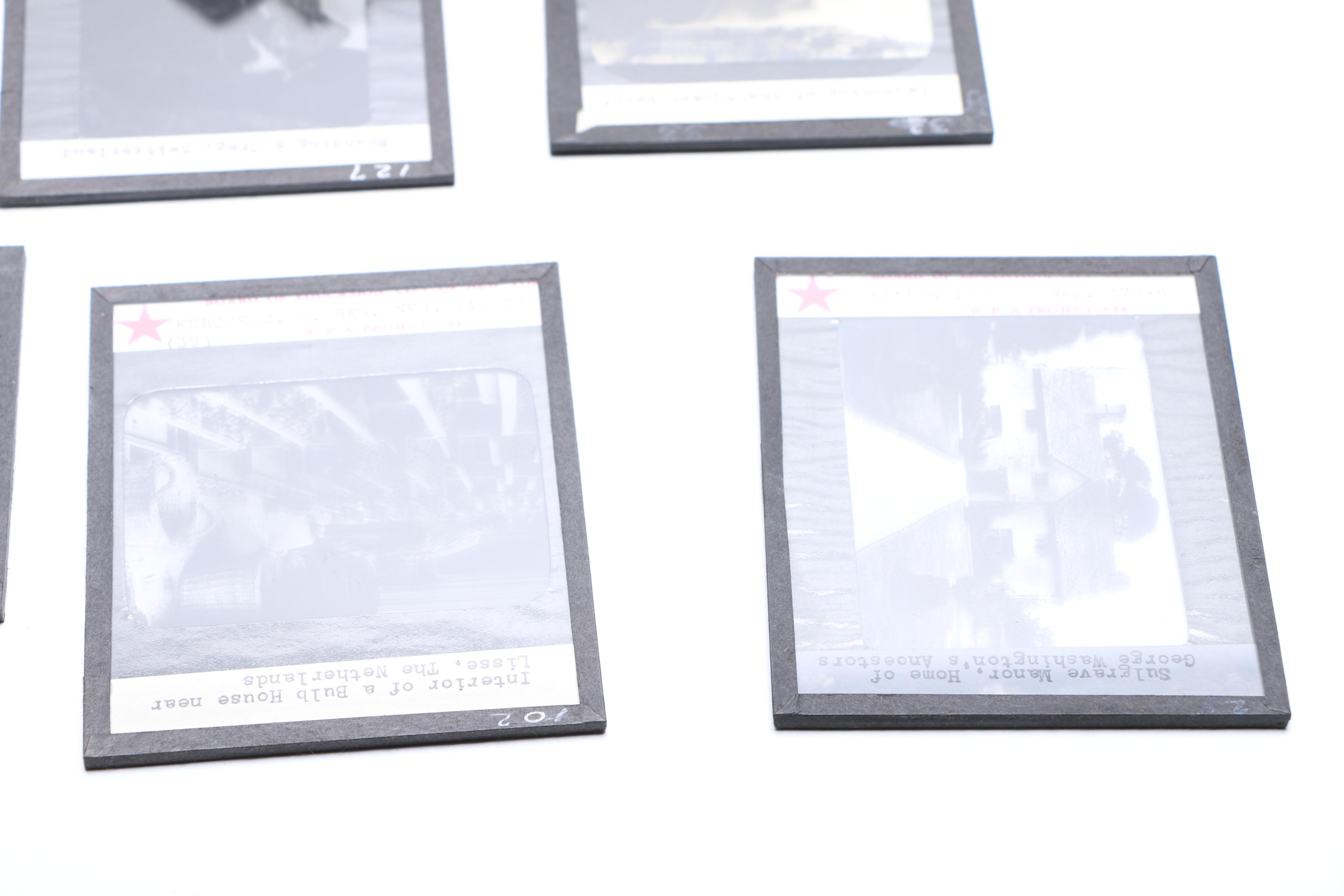 Vintage Glass Projector Slides