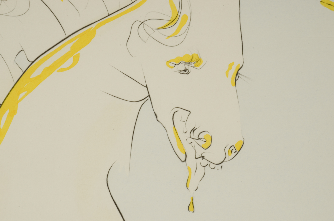 Salvador Dalí Original Limited Edition Engraving with Pochoir "Le Cavalier et la Cerf"