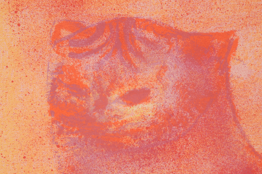 Signed Hand-Pulled Color Lithograph with Cat and Fish