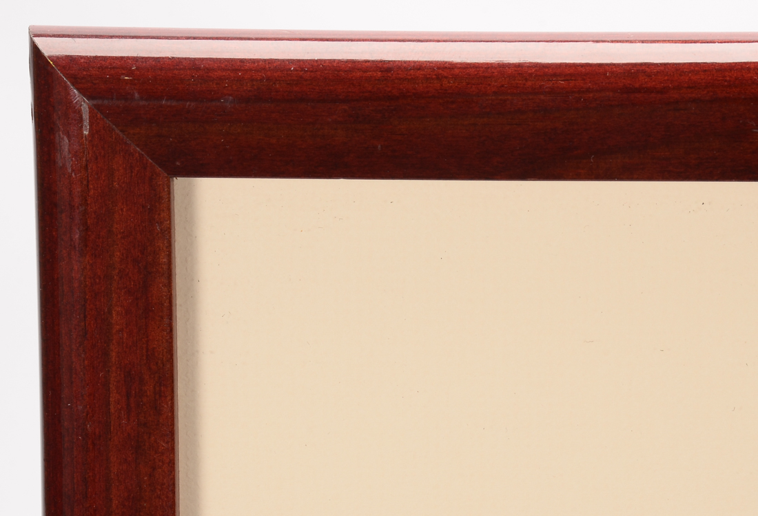 Signed Limited Edition Hand-Pulled Color Lithograph "Mexicactus"