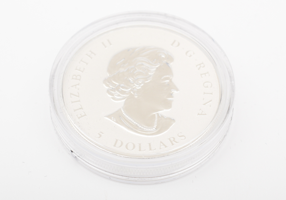 2010 Royal Canadian Mint Gold and Silver Piedfort Maple Leaf Coin Set