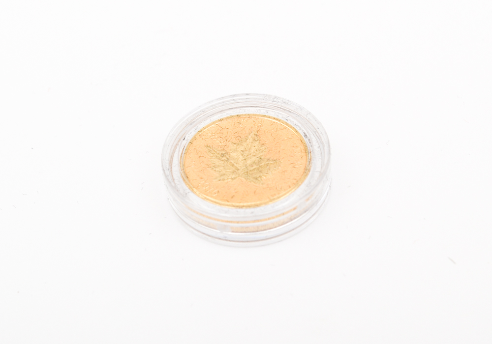 2010 Royal Canadian Mint Gold and Silver Piedfort Maple Leaf Coin Set