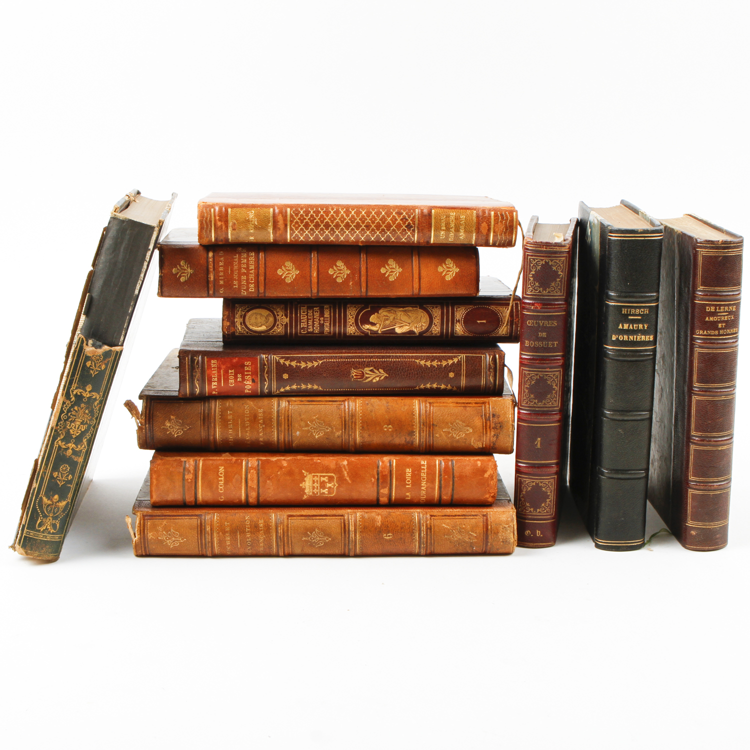 Collection of Vintage Leather Bound Books
