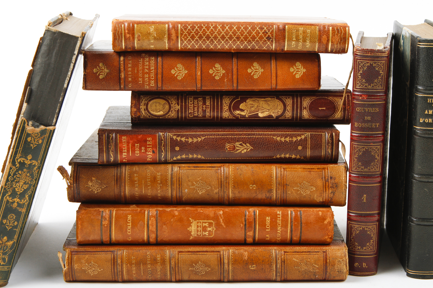 Collection of Vintage Leather Bound Books