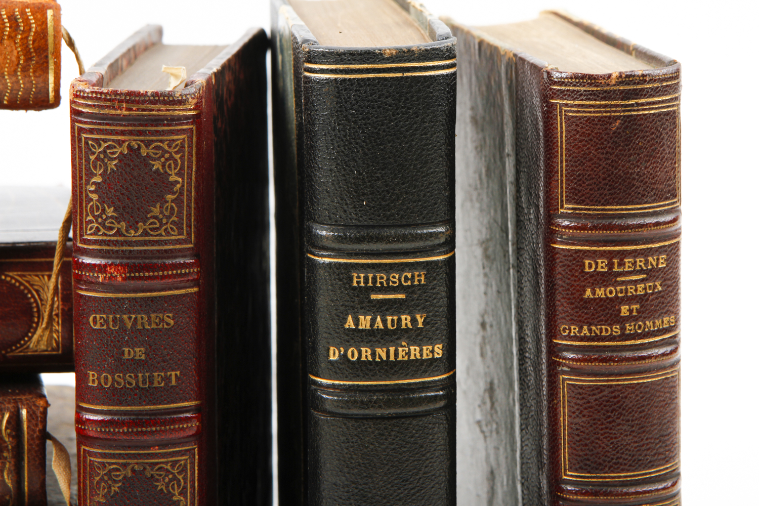 Collection of Vintage Leather Bound Books