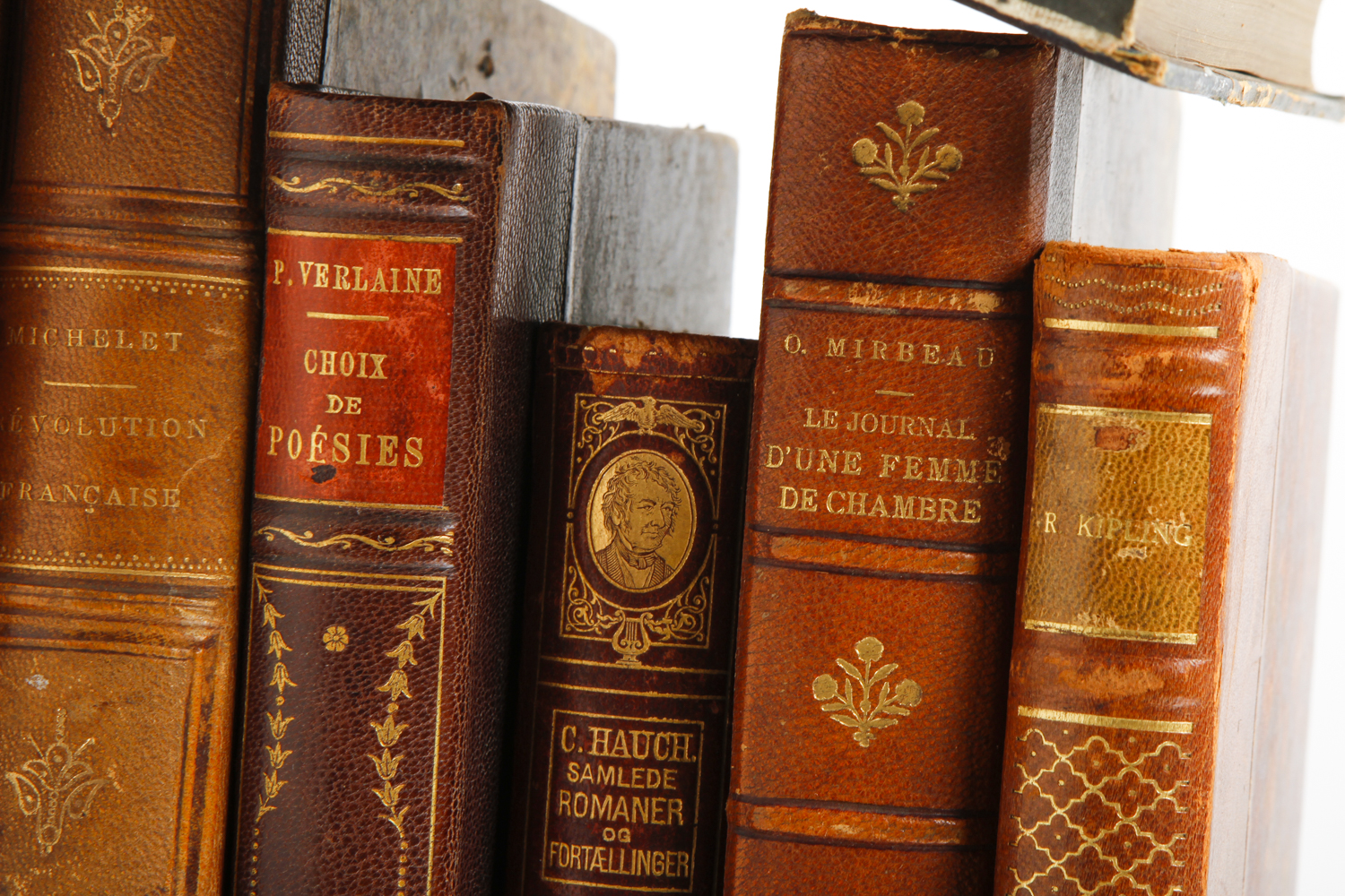 Collection of Vintage Leather Bound Books