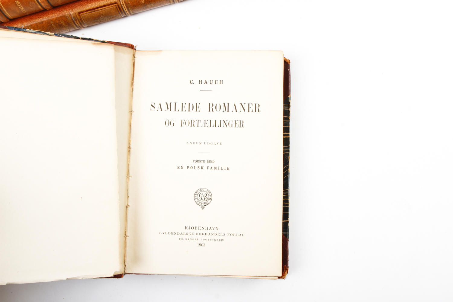 Collection of Vintage Leather Bound Books