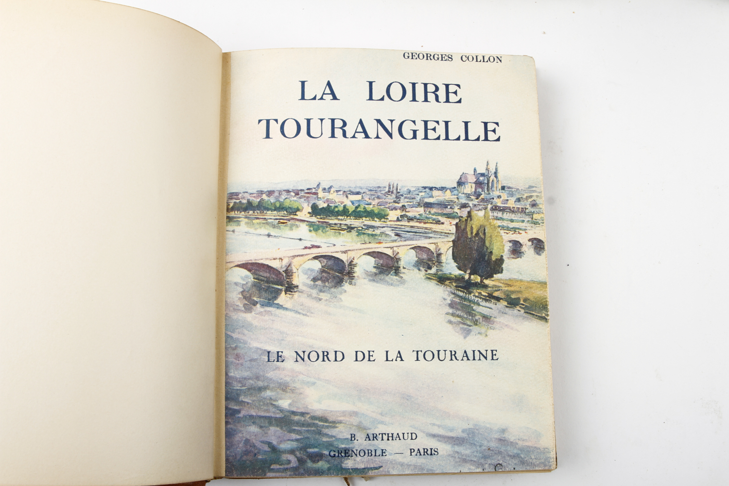 Collection of Vintage Leather Bound Books