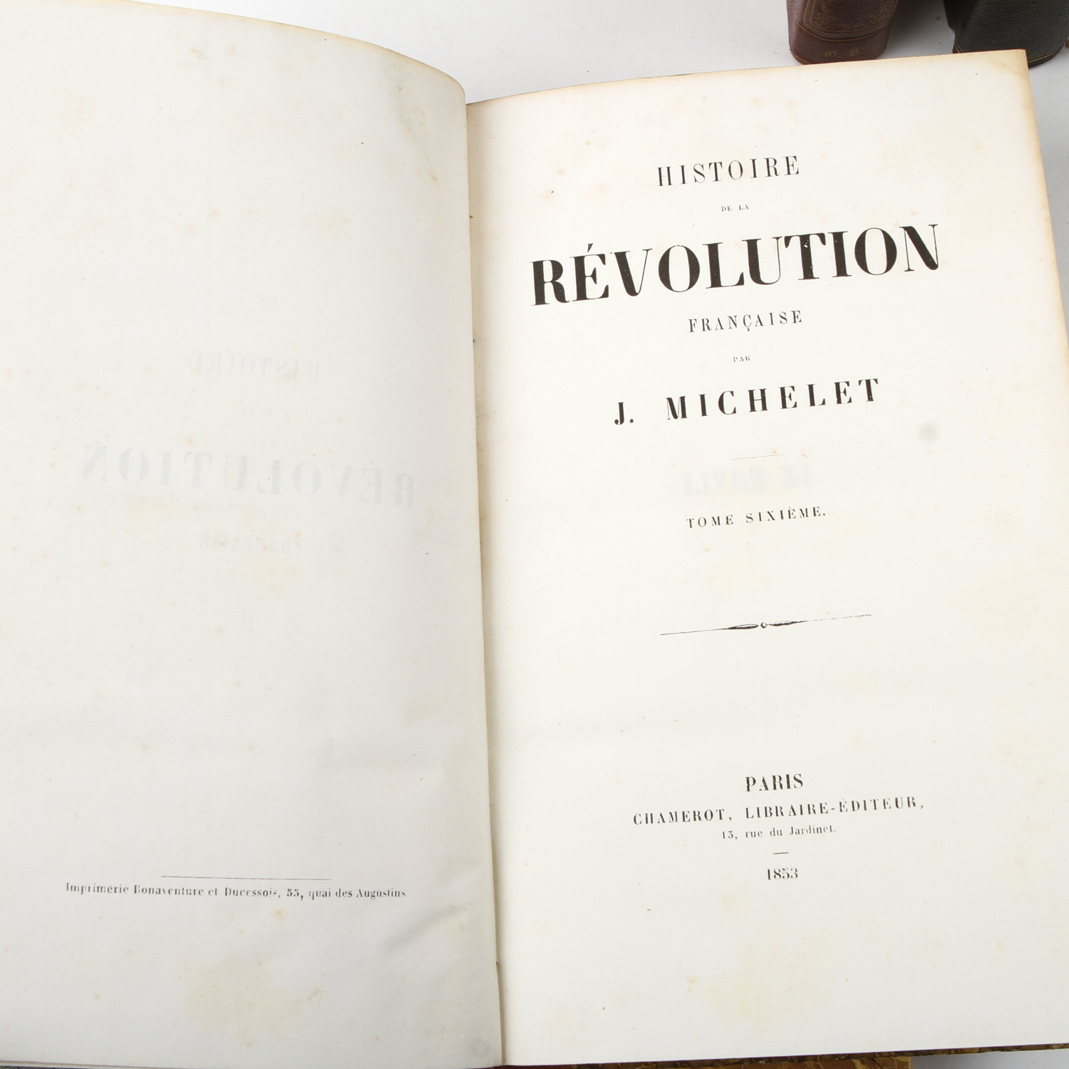 Collection of Vintage Leather Bound Books