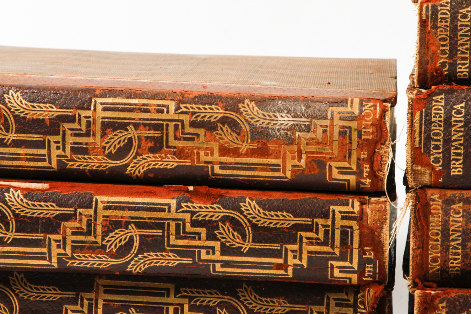 Selection of "Encyclopedia Britannica" 14th Edition Volumes