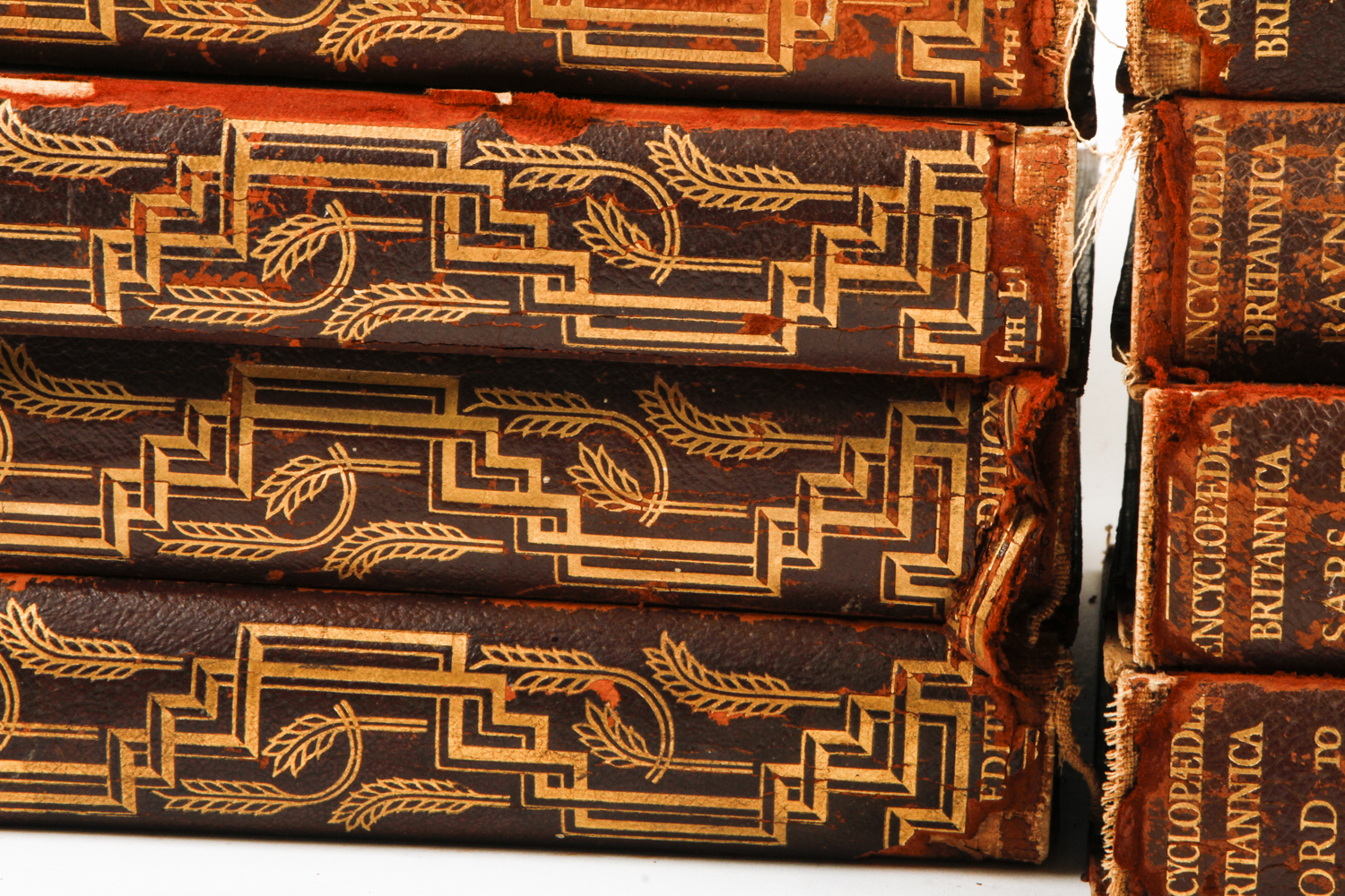 Selection of "Encyclopedia Britannica" 14th Edition Volumes