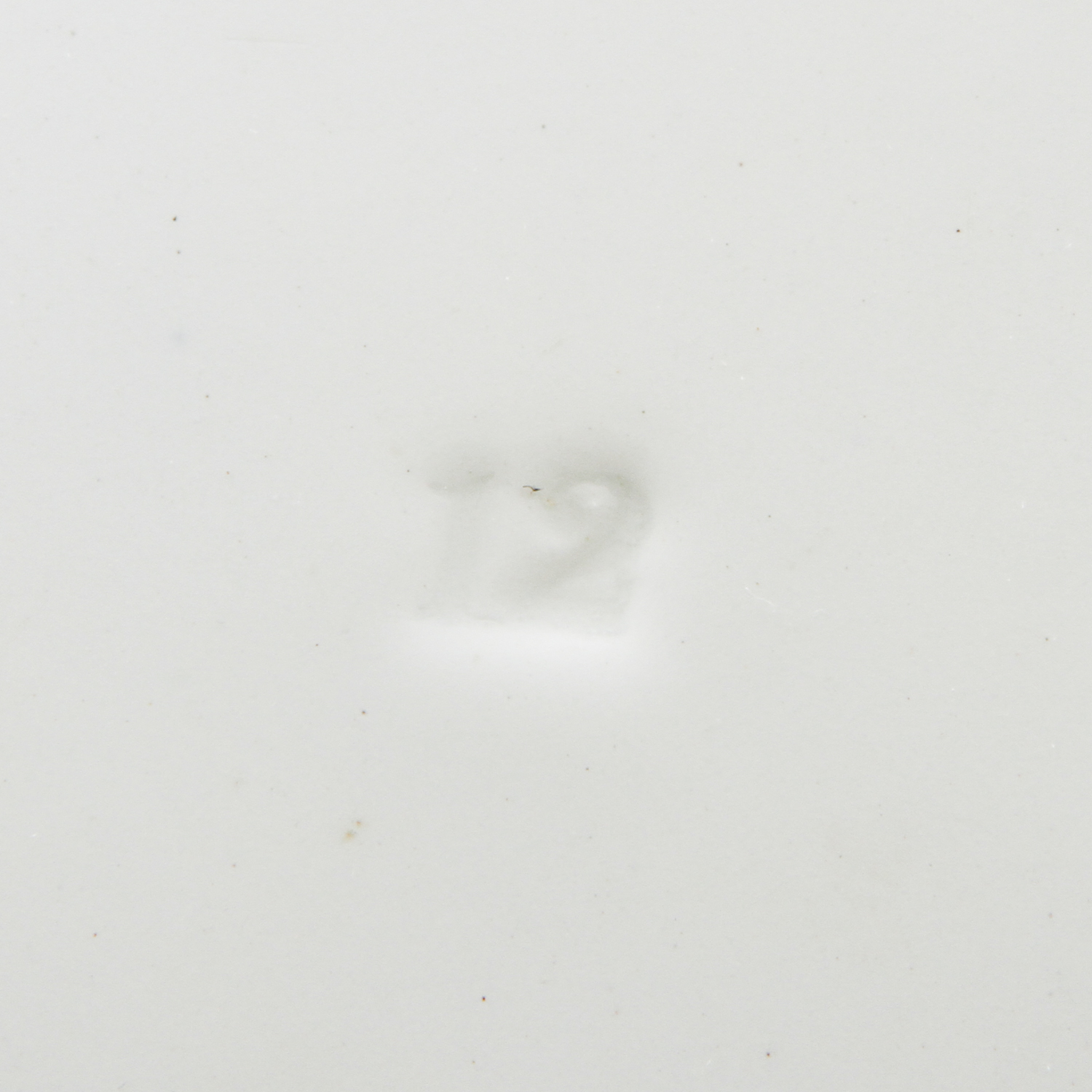 Pair of Decorative Serving Plates