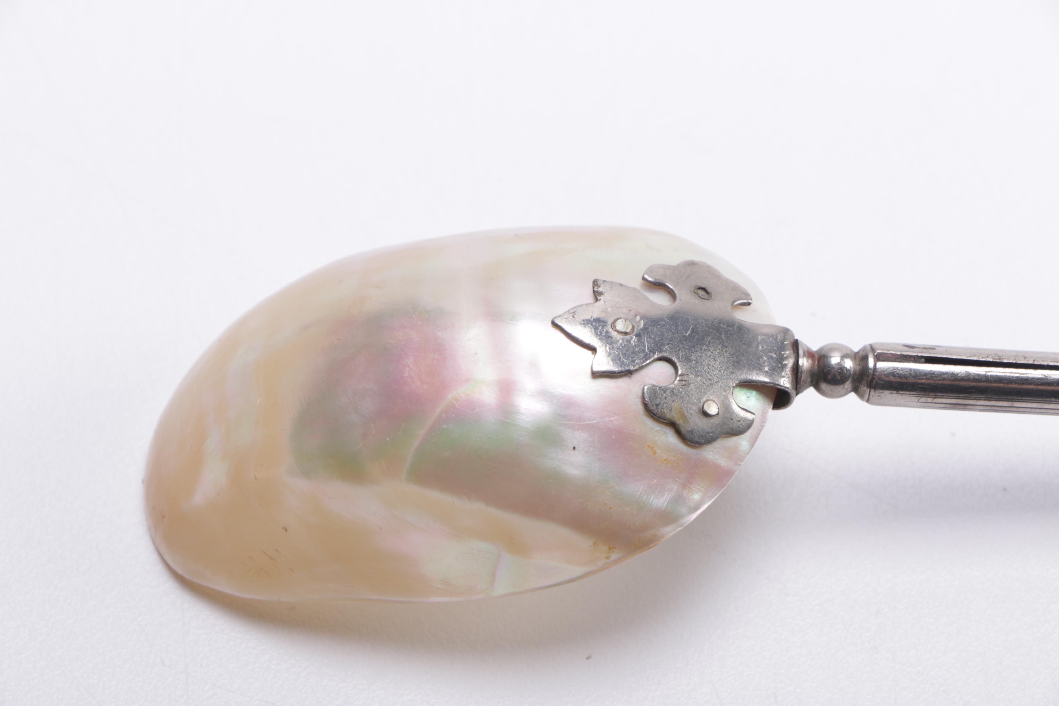 Genuine Shell Spoon