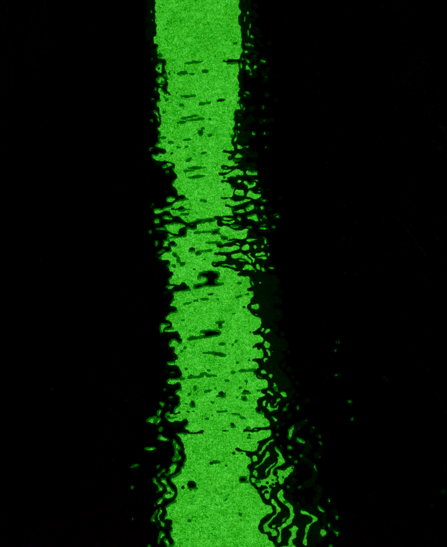 Dan McCarthy Original Glow-in-the-Dark Artist's Proof Serigraph "Letting Go"