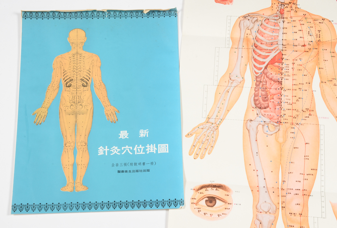 Vintage Chinese Acupuncture Chart