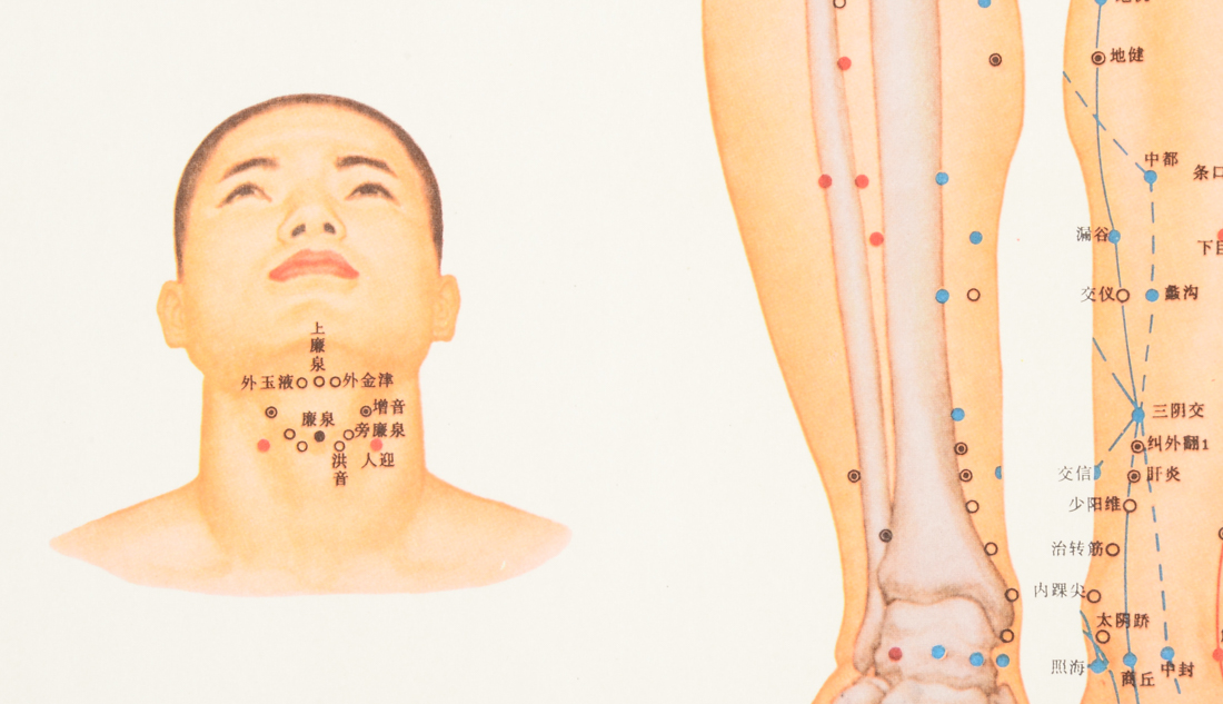Vintage Chinese Acupuncture Chart