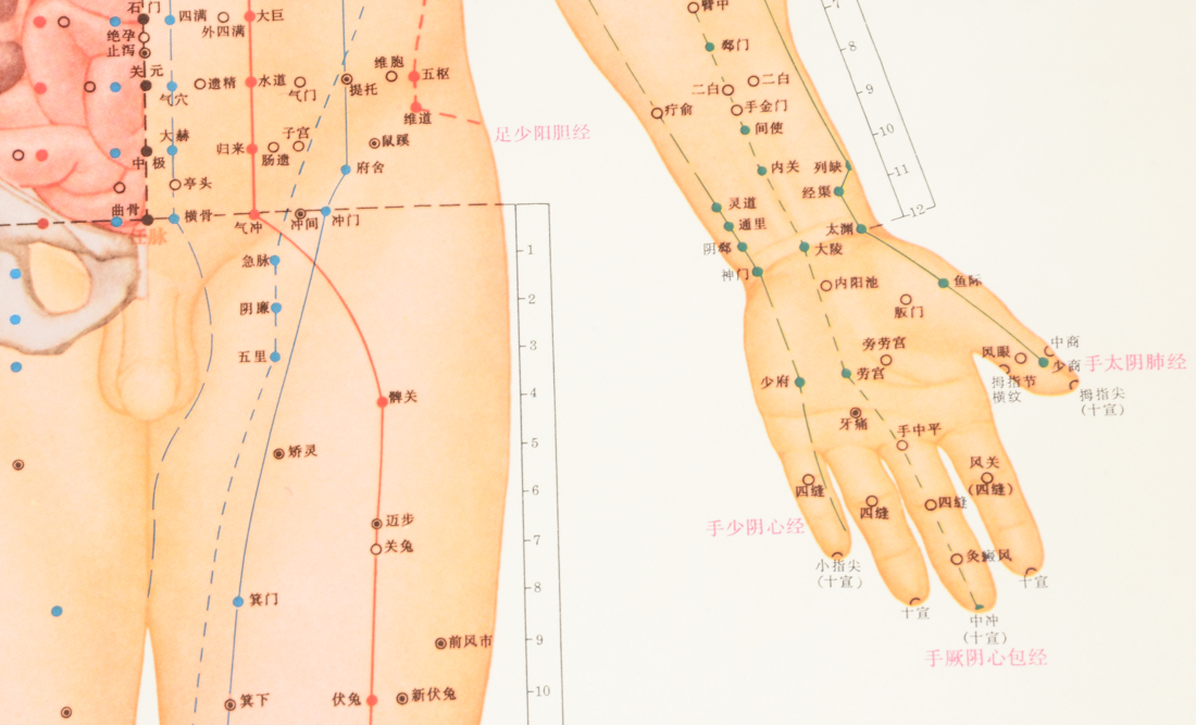 Vintage Chinese Acupuncture Chart