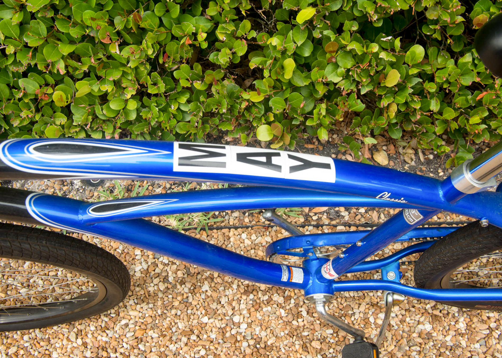 Men's Trek Classic Beach Cruiser Bike