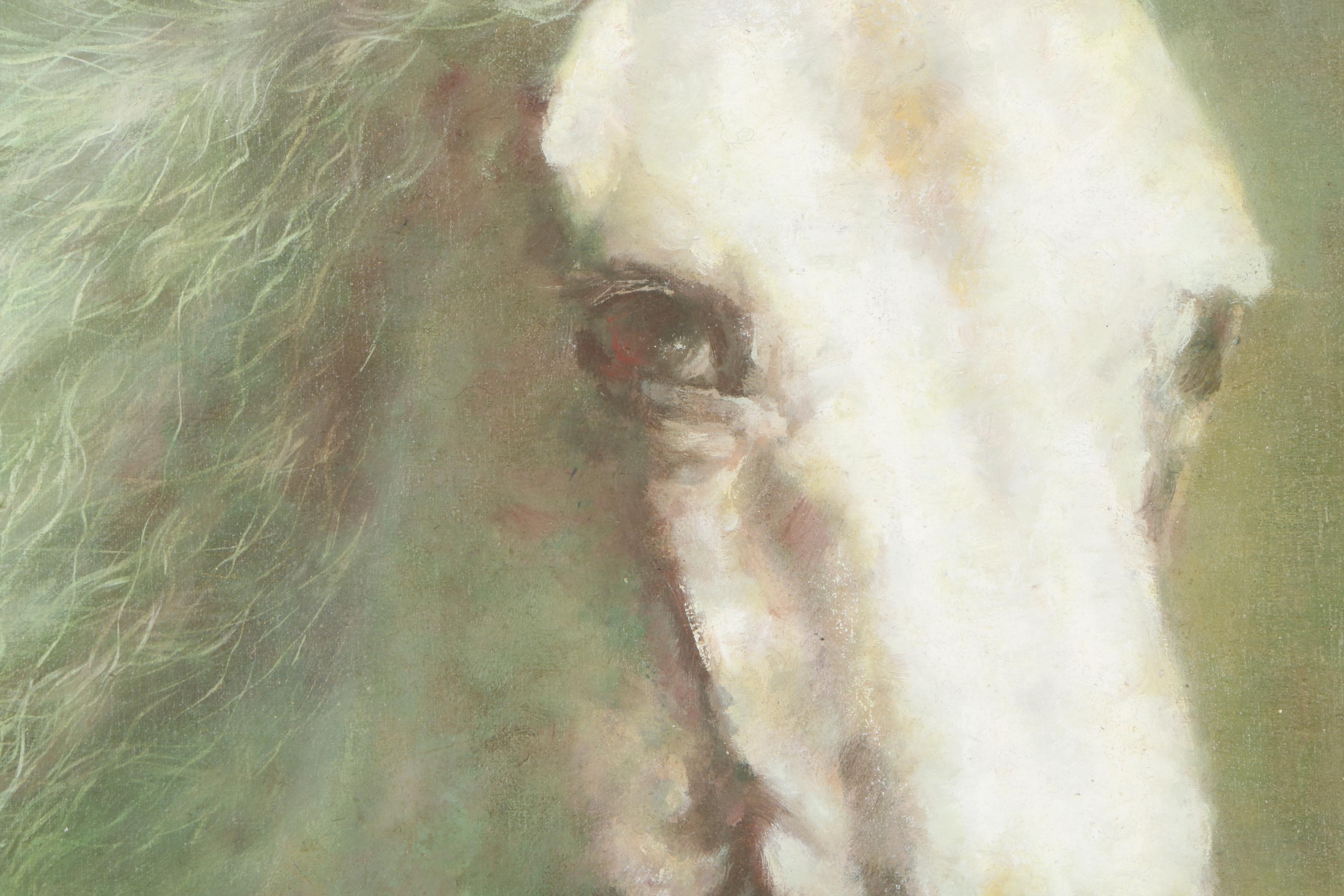 Large Oil on Canvas "White Stallion"