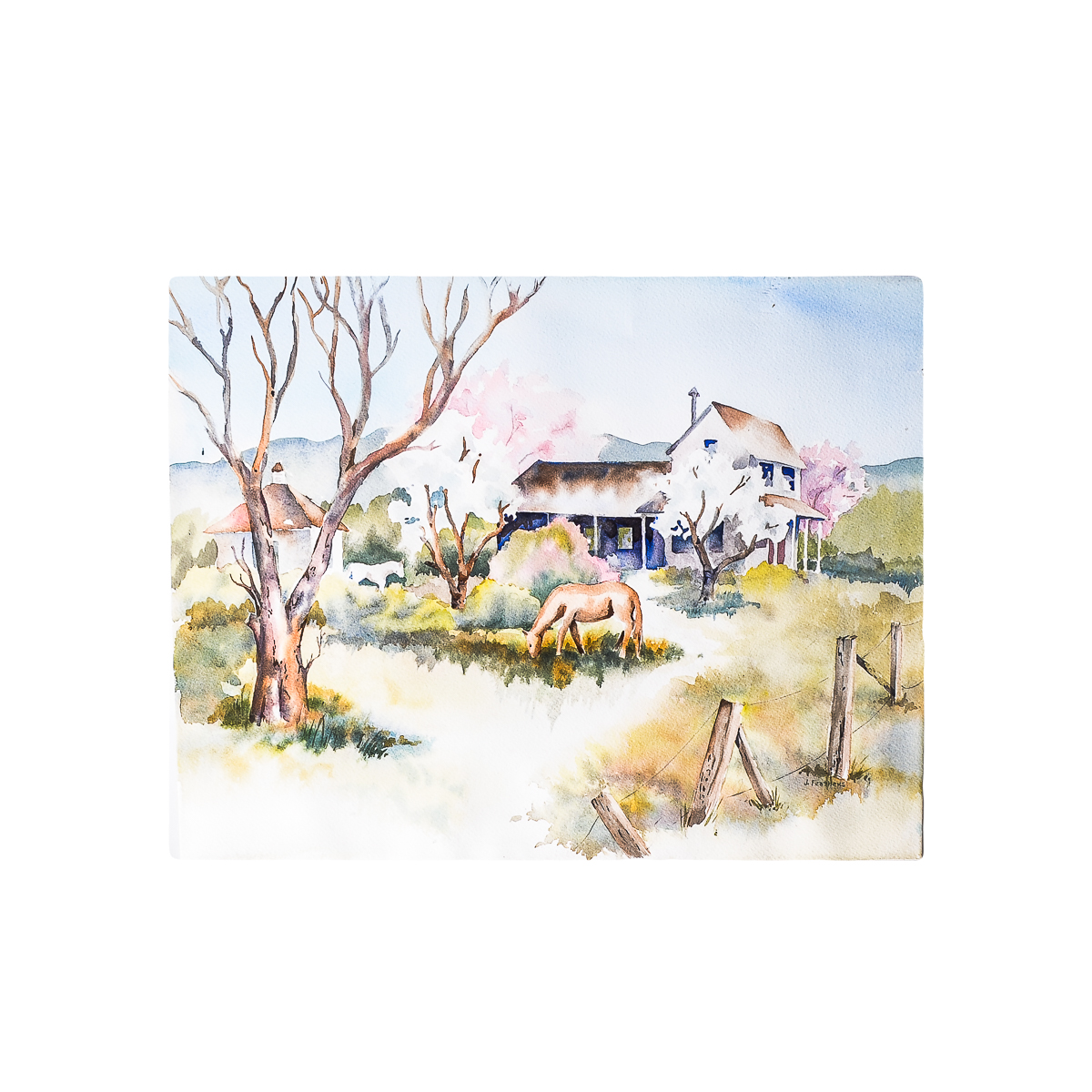 Jean Feathers Watercolor Painting on Paper "Spring Blossoms"