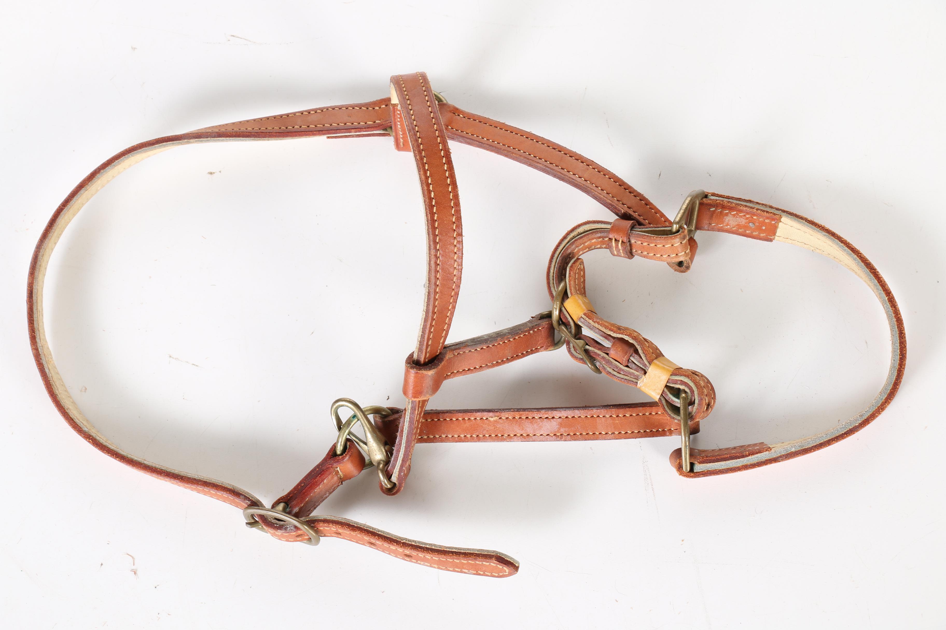 Billy Cook Leather Saddle and Accessories