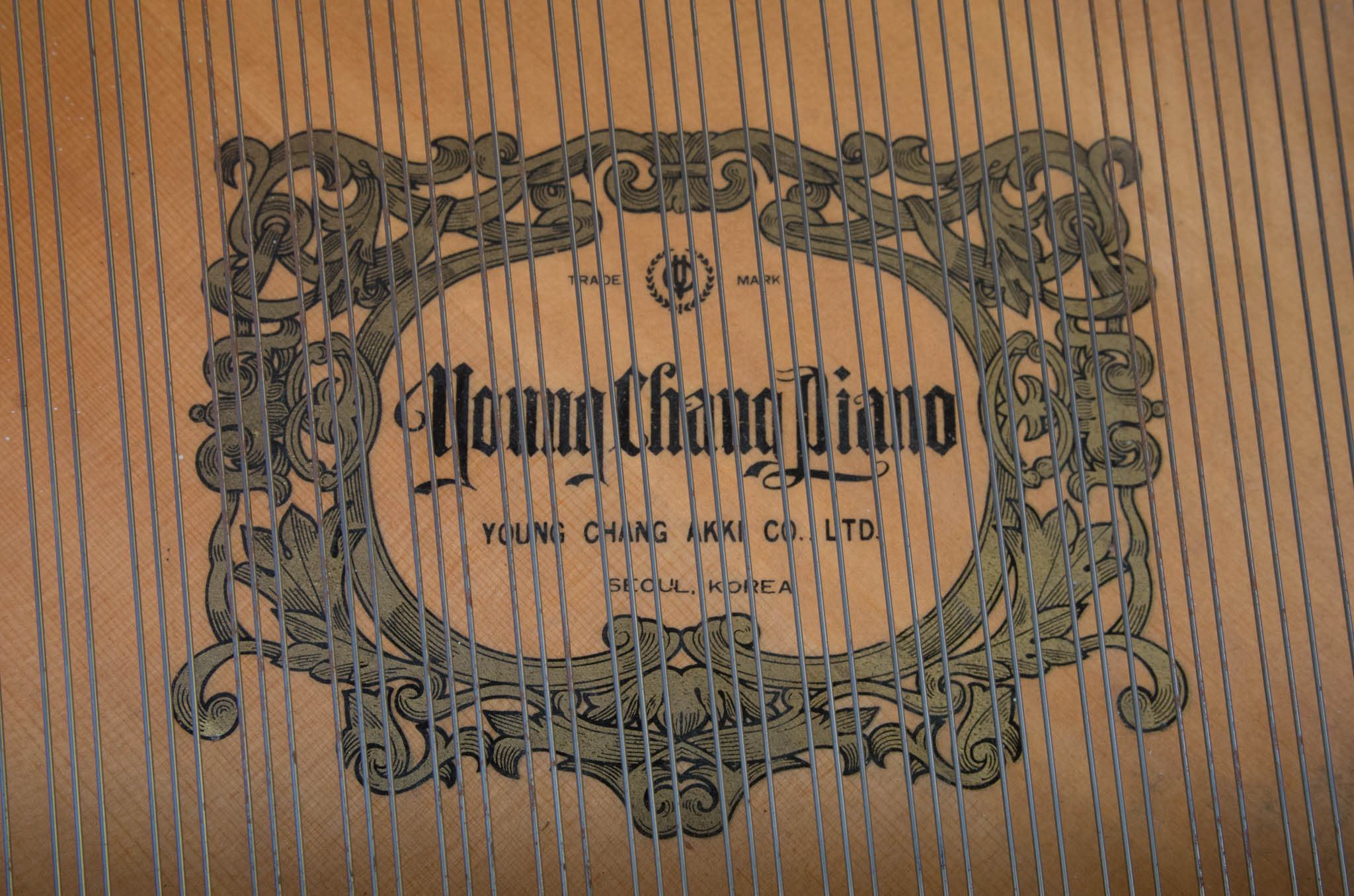 Young Chang Player Piano