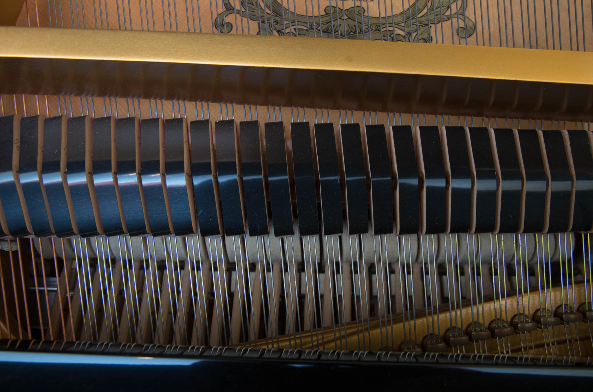 Young Chang Player Piano