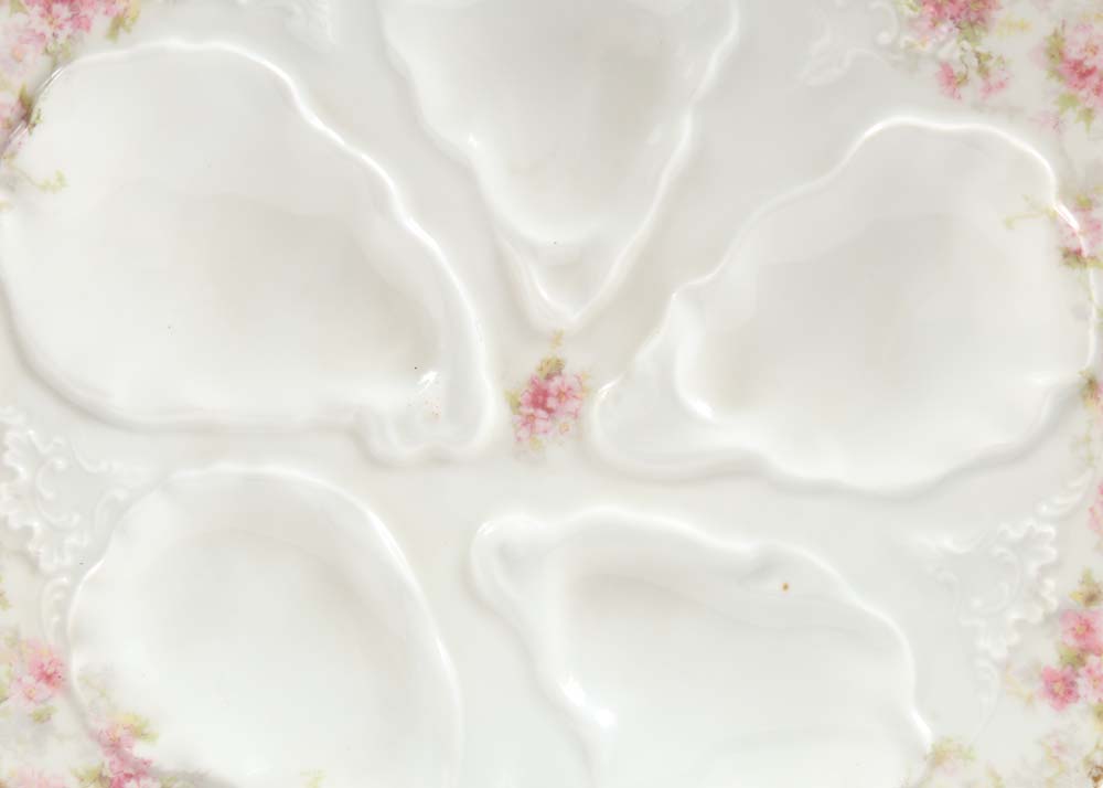 Vintage Haviland Limoges Oyster Plates