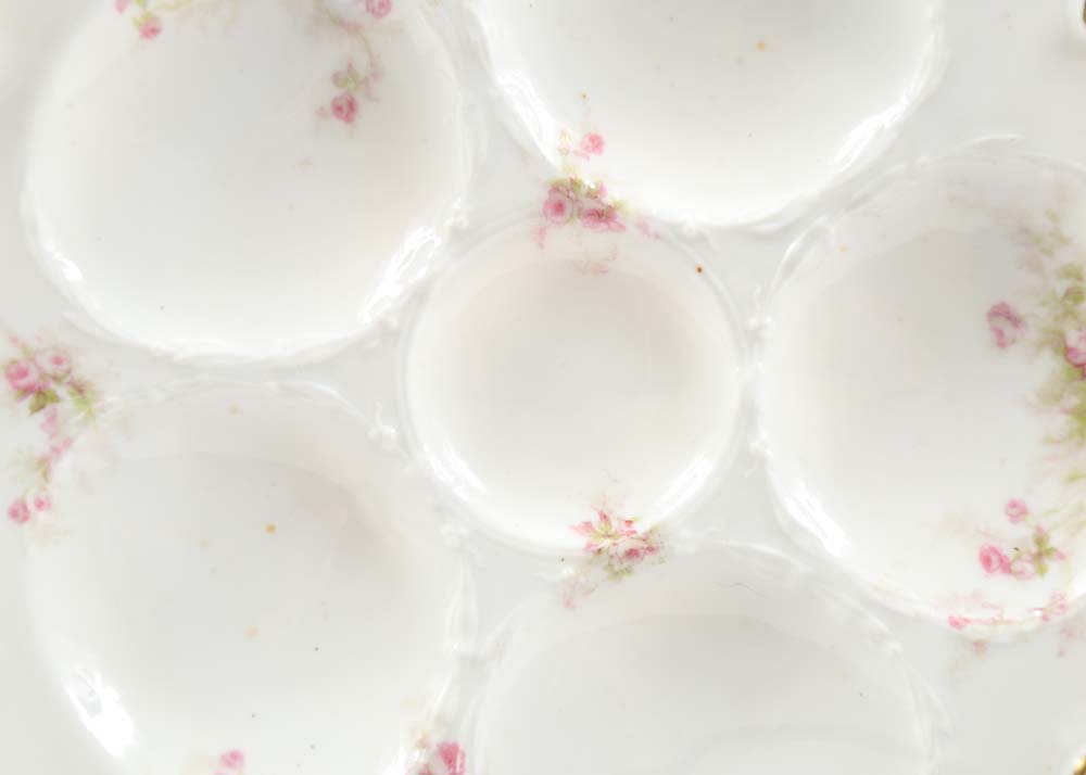 Vintage Haviland Limoges Oyster Plates