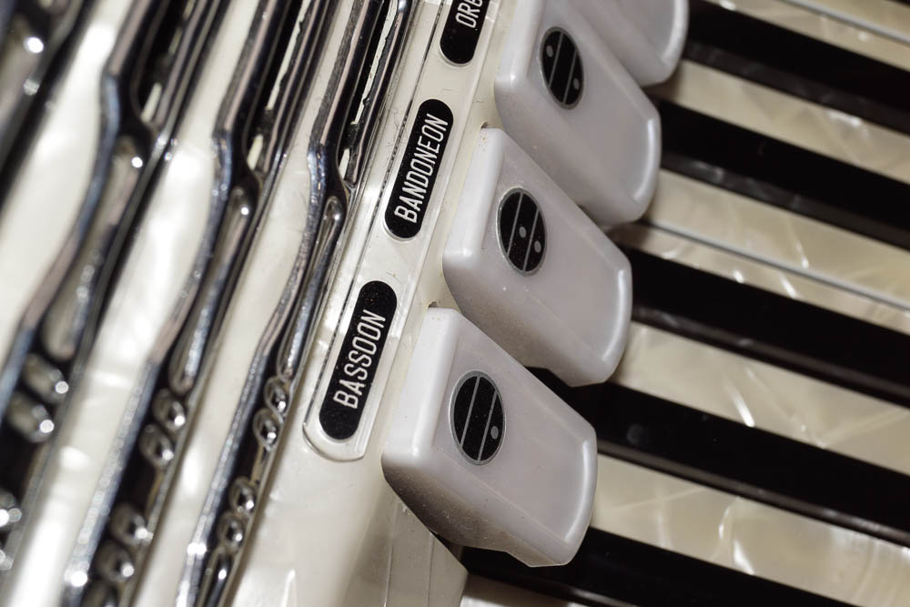 Titano Accordion and Case