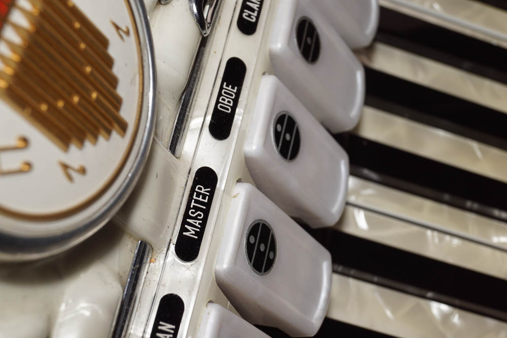 Titano Accordion and Case