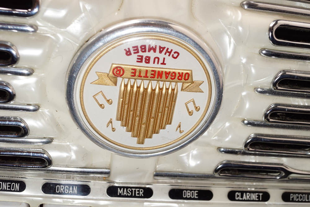 Titano Accordion and Case