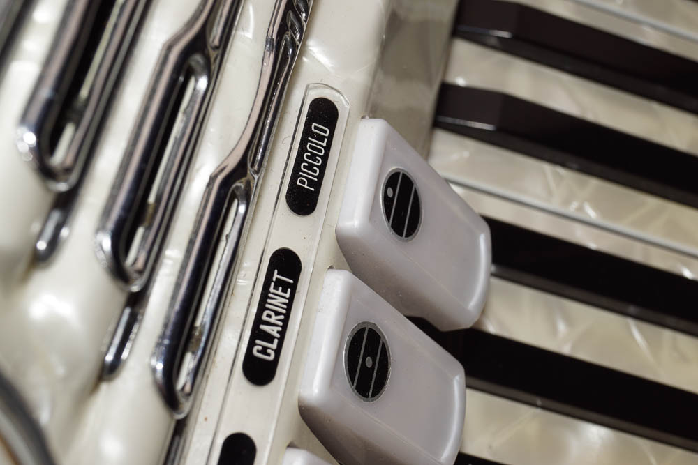 Titano Accordion and Case