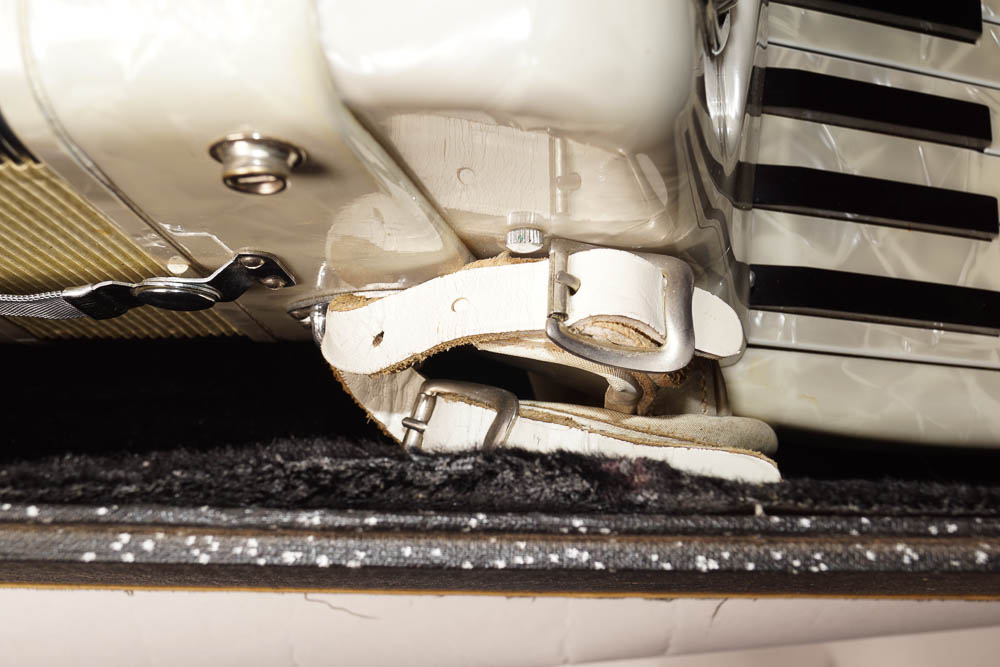 Titano Accordion and Case