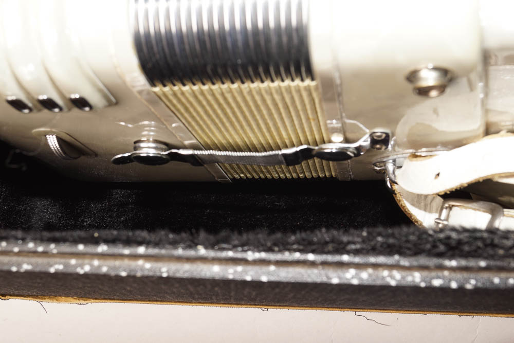 Titano Accordion and Case