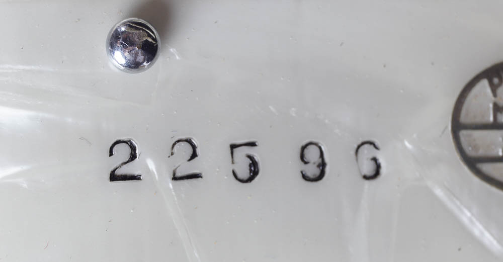 Titano Accordion and Case