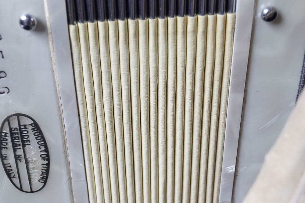 Titano Accordion and Case