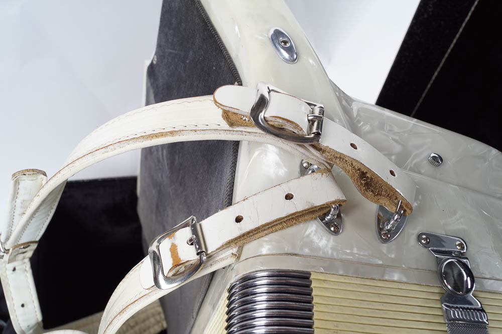 Titano Accordion and Case