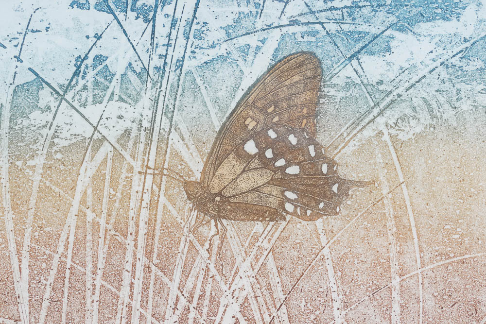 William Marlow Signed Lithographs