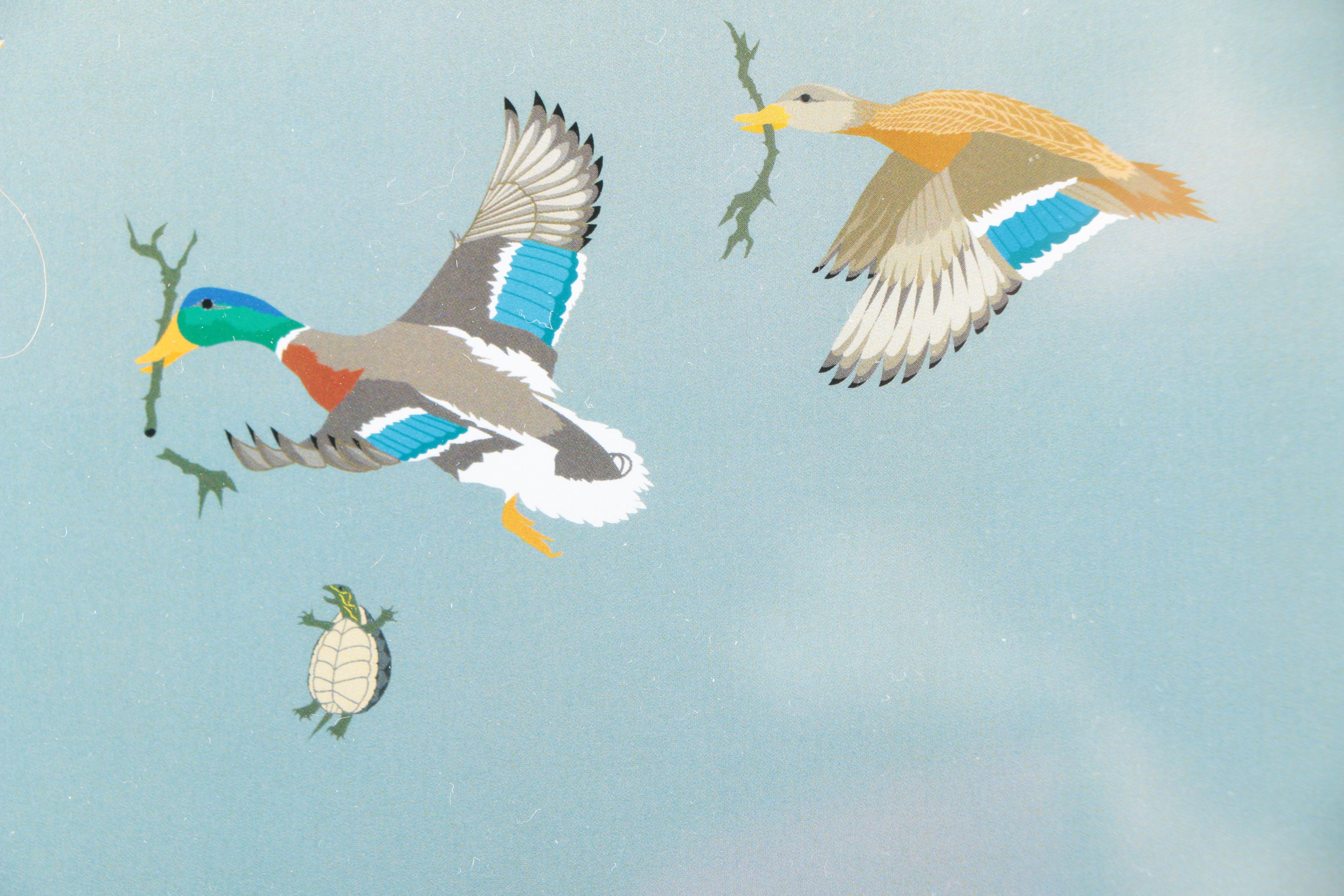 Jane Davis Doggett Offset Lithograph "Falling Turtle, Spring at Radnor Lake"