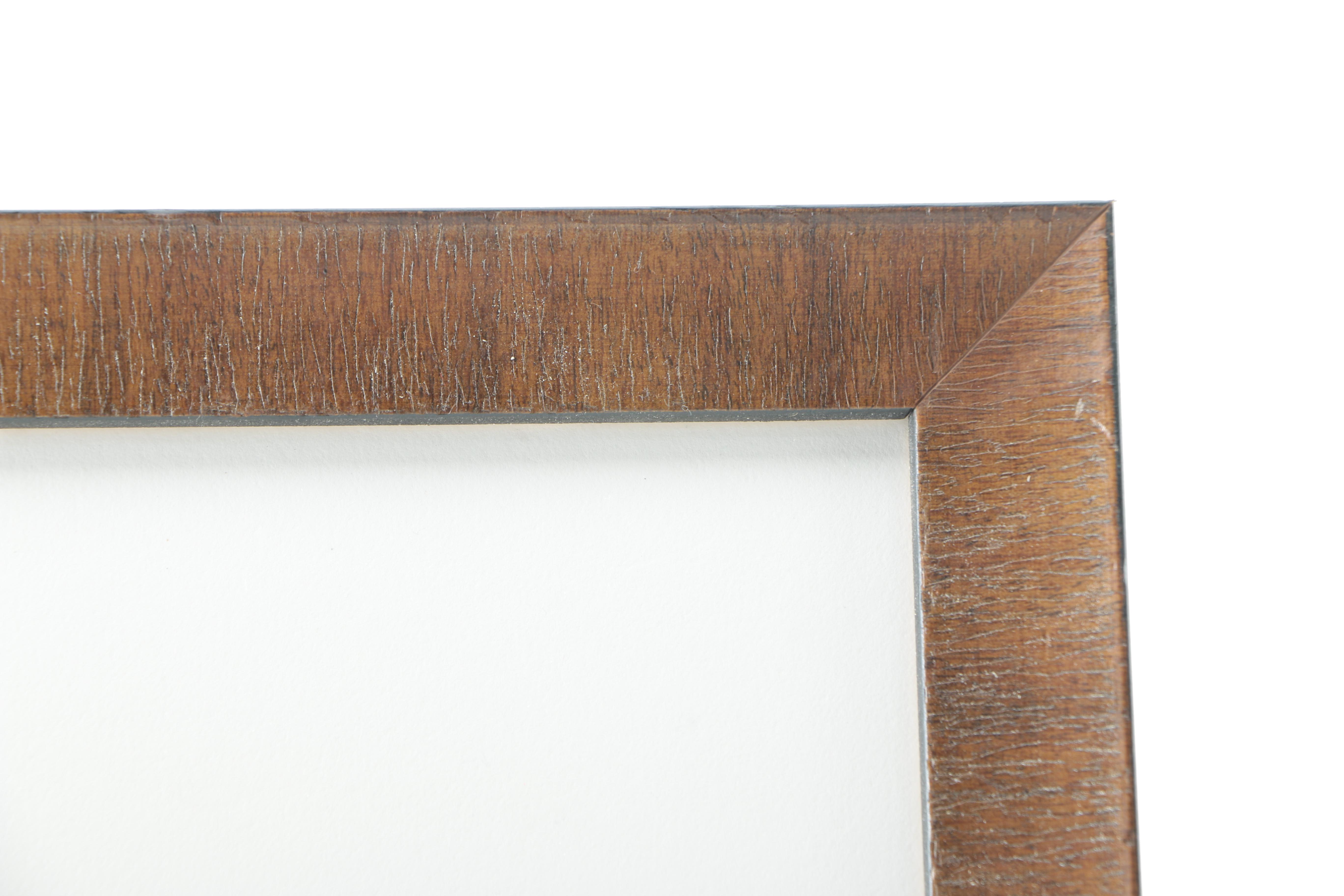 Jane Davis Doggett Offset Lithograph "Falling Turtle, Spring at Radnor Lake"