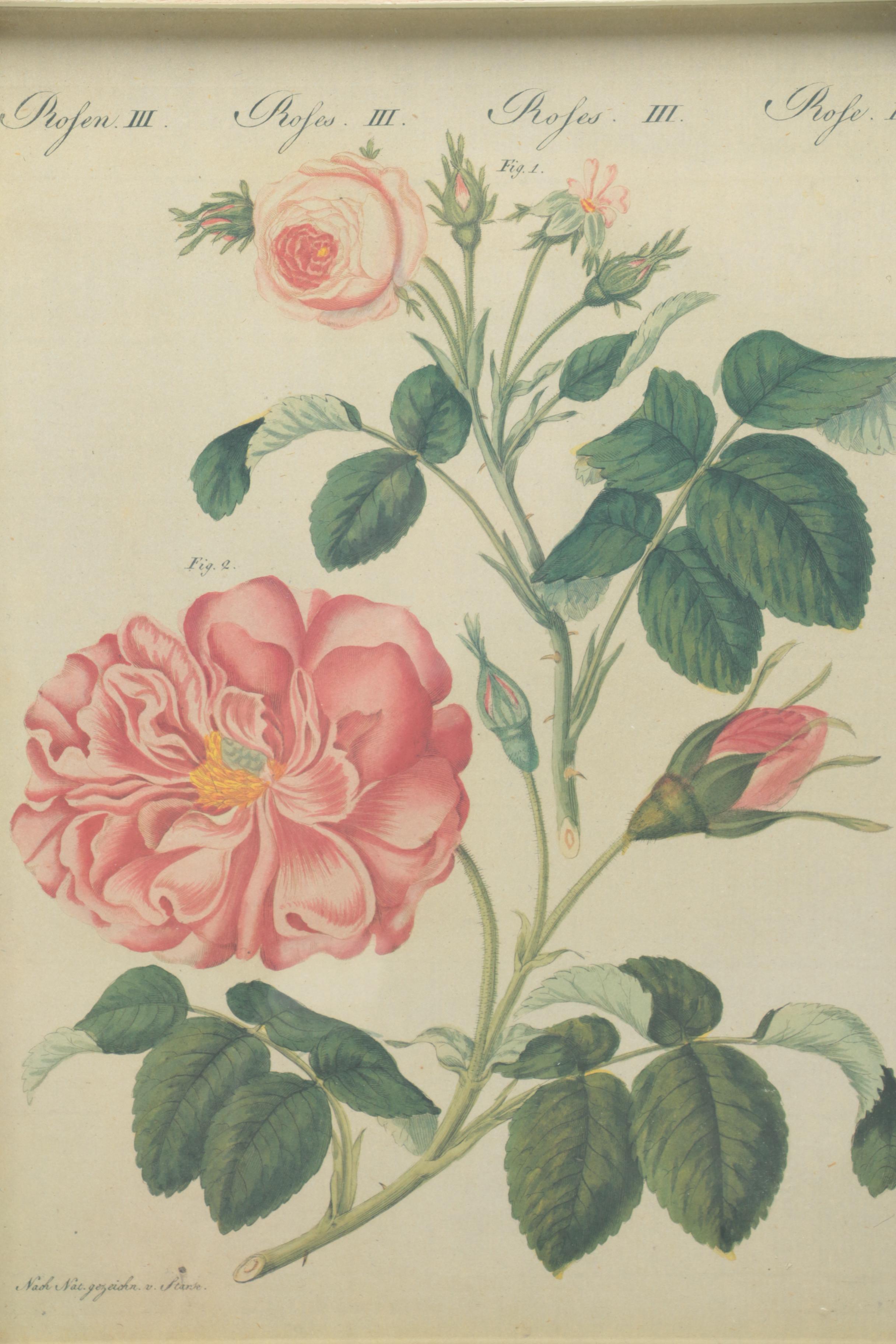 After F. J. Bertuch Offset Lithograph Print "Porte-Feuille des Enfants"